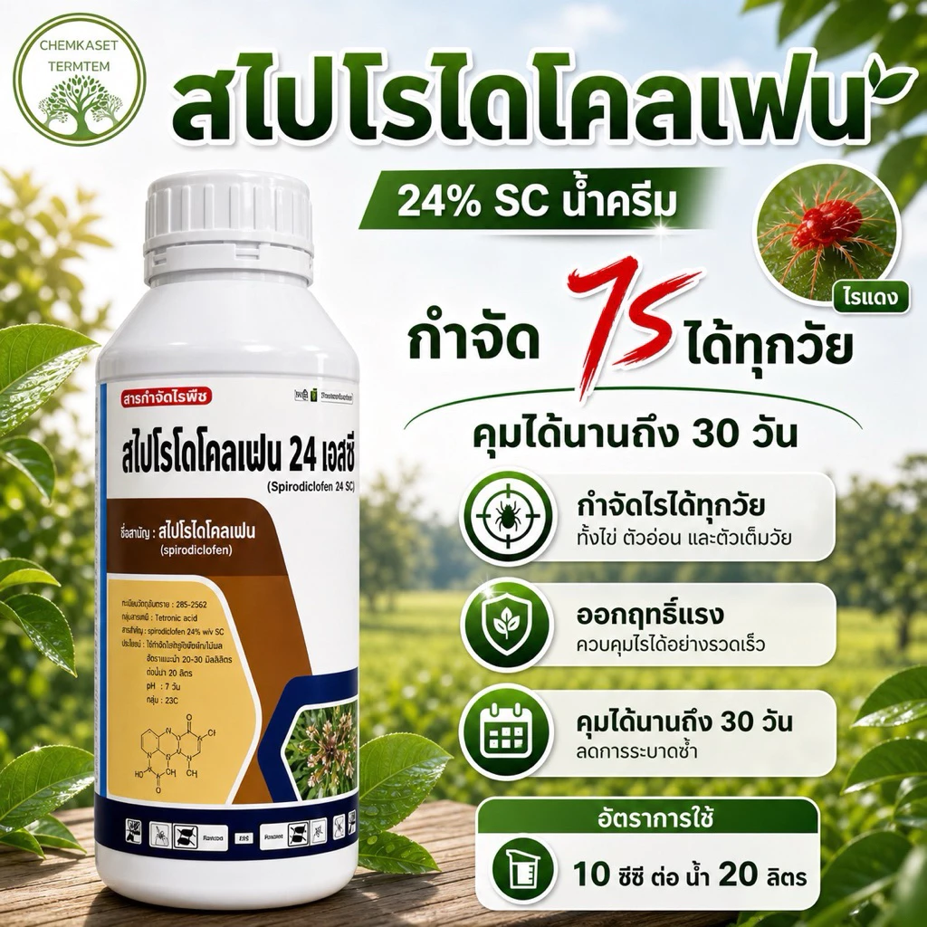 ☘️สไปโรไดโคลเฟน 24 เอสซี ขนาด 1 ลิตร☘️ ไรสนิม ไรแดง แมงมุมแดง ไรขาวพริก ไรสองจุด แมลงหวี่ขาว