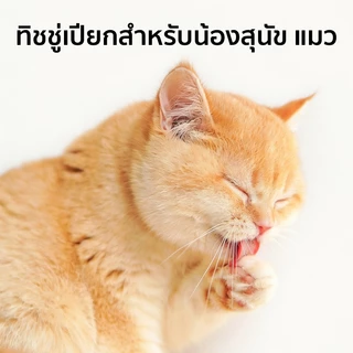 ทิชชู่เปียกสัตว์เลี้ยง แผ่นใหญ่ ขจัดกลิ่น PET WIPES 1แพ็ค 120แผ่น เช็ดคราบได้สะอาด น้องสุนัข แมว