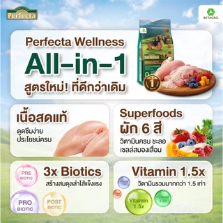 Perfecta อาหารสุนัข เกรดพรีเมี่ยม สุนัขโต พันธุ์เล็ก 1 ปี ขึ้นไป สูตรไก่ เนื้อสดแท้ Human grade ขนาด 3 กก.