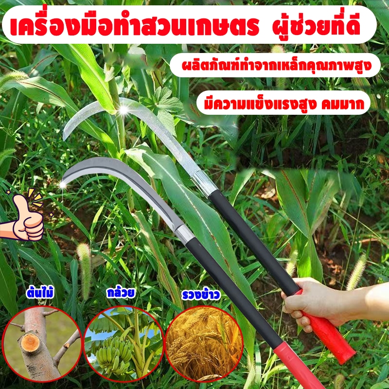 เคียวปาดตองด้ามยาว 60ซม. ทนทาน ลับคมกริบ เคียวเกี่ยวข้าวอย่างดี เกี่ยวตัดหญ้า เคียวตัด พร้อมปกป้อง