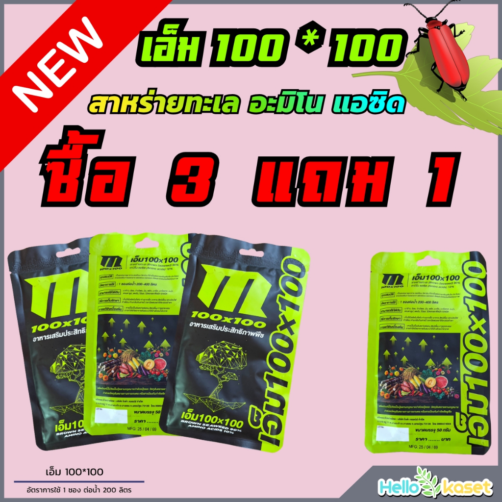 สาหร่ายอะมิโน เข้มข้น เอ็ม100*100 โปร 3 แถม 1 บำรุงพืชช่วยเจริญเติบโต แอซิด ราก แขนง ดอก ขนาด50 กรัม