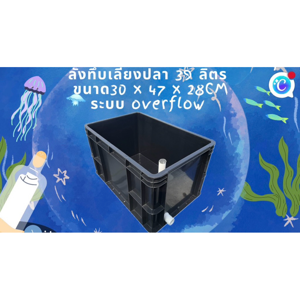ลังทึบเลี้ยงปลาสีดำ 39 ลิตร ระบบoverflow ท่อเดียวขาว อ่างเปล อ่างปลาบอลลูน อ่างปลาหางนกยูง อ่างเลี้ย