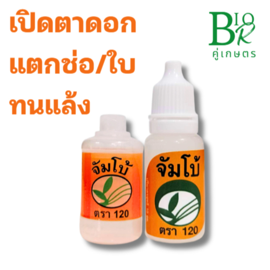 "จัมโบ้120" อาหารเสริมพืช สารอินทรีย์-กรดอะมิโนสกัดเข้มข้น ฤทธิ์เทียบเท่า ฮอร์โมนพืช ผสมได้100ลิตร