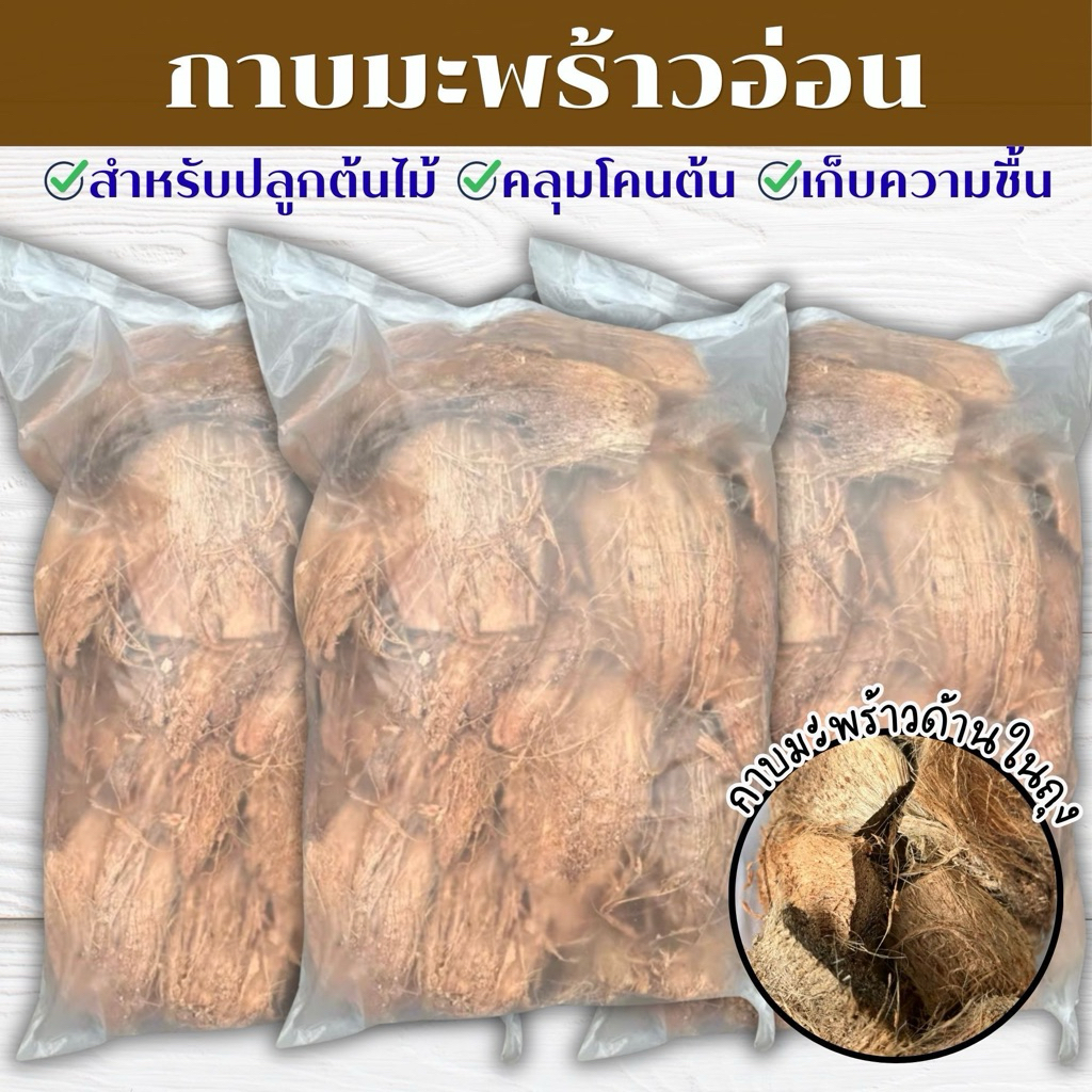 กาบมะพร้าวอ่อน กาบมะพร้าวแบบไม่มีเปลือก  น้ำหนัก 250 กรัม สินค้าพร้อมจัดส่ง