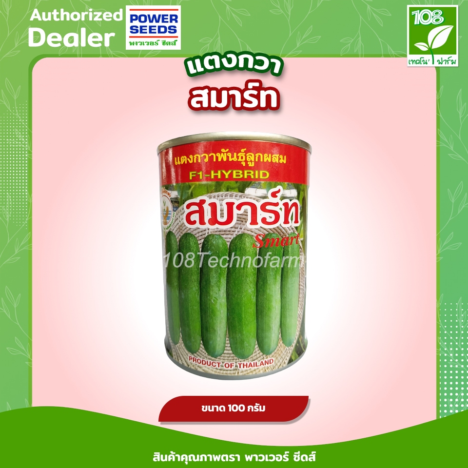 เมล็ดพันธุ์ แตงกวา สมาร์ท ตราอุ้งมือทอง ( 50 กรัม ) ( 100 กรัม )