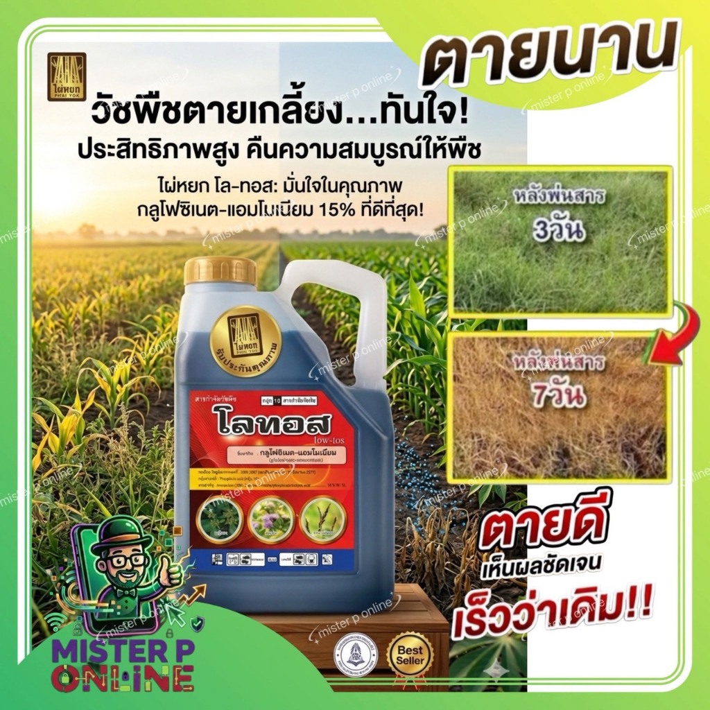 ยาฆ่าหญ้า โลทอส 4ลิตร กลูโฟซิเนตแอมโมเนียม เผาไหม้กึ่งดูดซึม รากพืชปลอดภัย ตายสนิท ของแท้