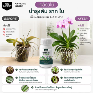 Progarden Orchid Grow บำรุงกล้วยไม้ ต้น ราก ใบ ลำลูกกล้วยอวบใหญ่ ใบหนาเขียว รากขาว ปุ๋ยกล้วยไม้ อะมิโน สาหร่าย