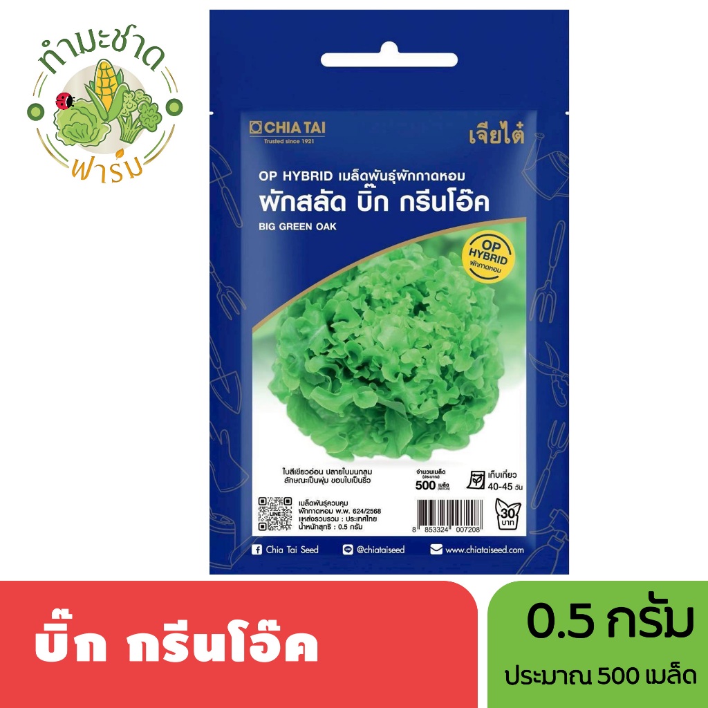 เจียไต๋ (Easy) เมล็ดพันธุ์ บิ๊กกรีนโอ๊ค ขนาด0.5กรัม ประมาณ500เมล็ด Big Green Oak ผักสลัด กรีนโอ๊ค เมล็ดพันธุ์พืช เมล็ดผั