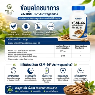 [ของแท้]KSM-66® Ashwagandha อัชวากานดาสกัดเข้มข้น ลดความเครียด หลับสบาย ฟื้นฟูร่างกายจากความล้า