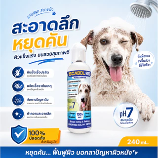 แชมพูสุนัข แก้คัน เชื้อรา ขนร่วง หยุดเกา Scabol 89 ลดกลิ่น ผิวแข็งแรง อ่อนโยน 240ml