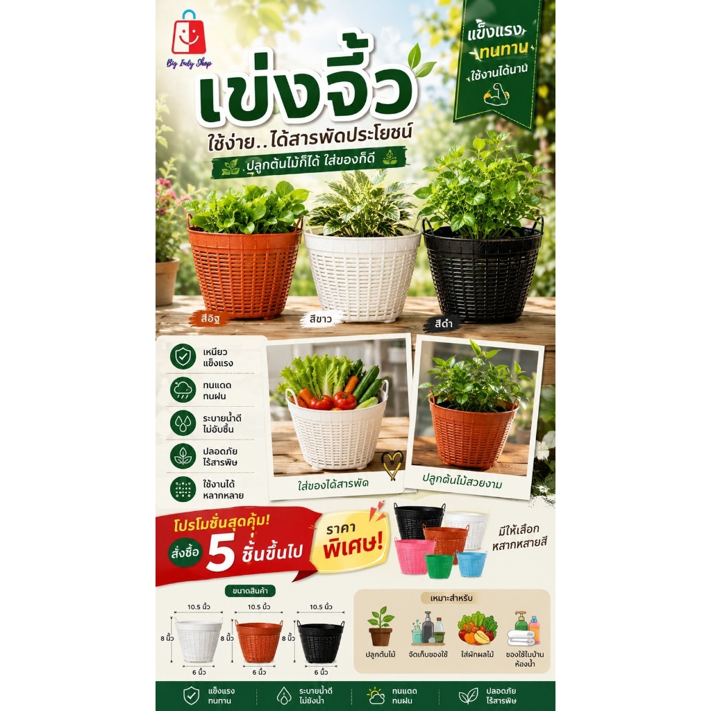 เข่งจิ๋ว 10.5 นิ้ว สีดำ และคละสี