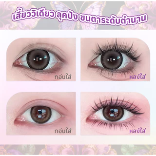 COD FLORÈT LASH ขนตาปลอมไม่ต้องใช้กาว 36 แถว ลุคธรรมชาติ ติดง่าย มือใหม่ เบา ติดทน ใช้ซ้ำได้ คุ้มมาก