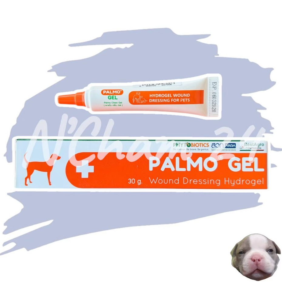 Palmo Gel ไฮโดรเจลช่วยสมานแผลสัตว์เลี้ยง สารสกัดจากธรรมชาติ