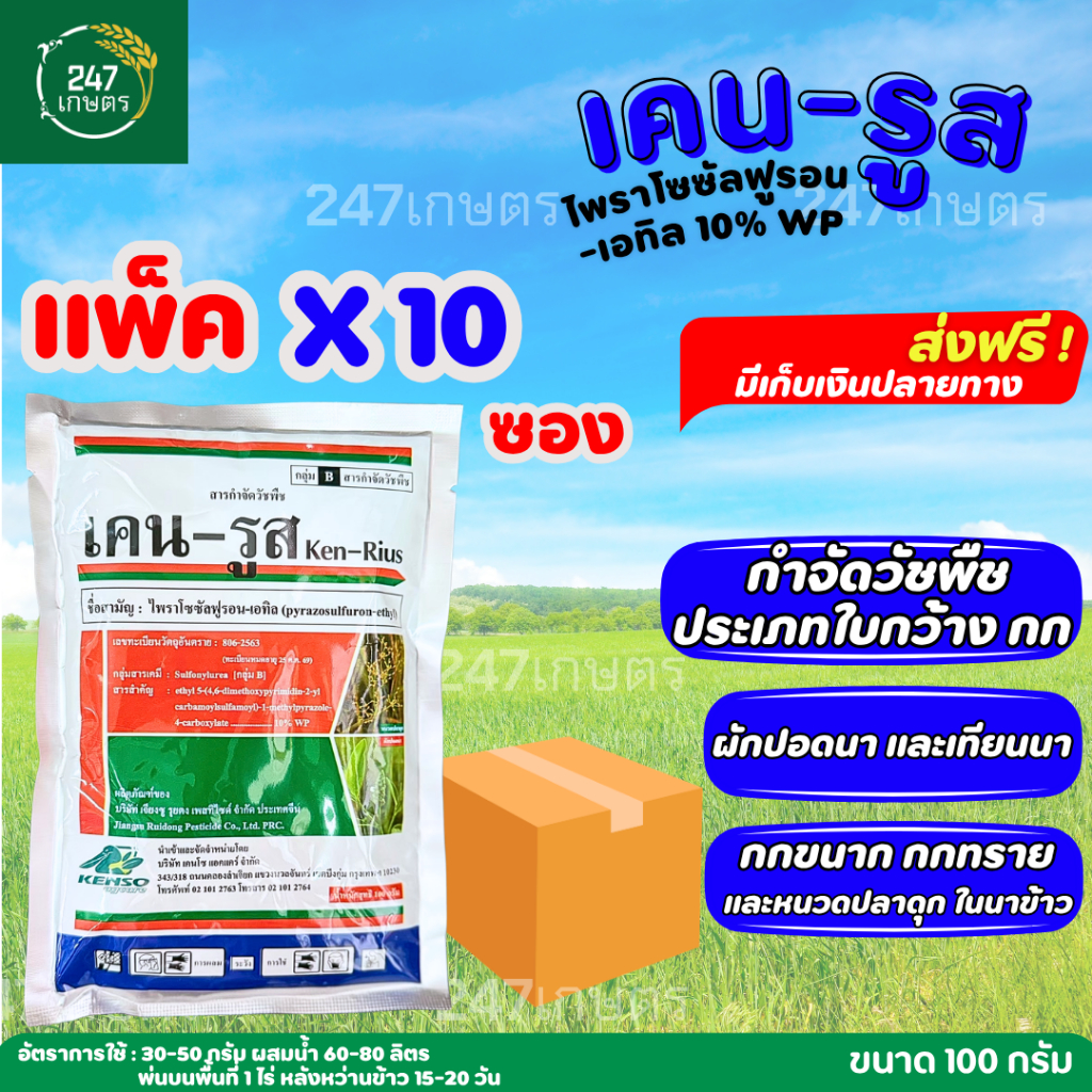 **แพค10ซอง**เคน-รูส 100 กรัม (ไพราโซซัลฟูรอน) กำจัดวัชพืชใบกว้าง กกต่างๆ ผักปอดนา เทียนนา กกขนาก กกทราย หนวดปลาดุก และแห