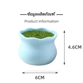 กระถางดอกไม้พลาสติก ชุดกระถางปลูกไม้ DIY กระถางดอกไม้ขนาดเล็ก ลวดกำมะหยี่ ไหมพรม สำหรับงานประดิษฐ์
