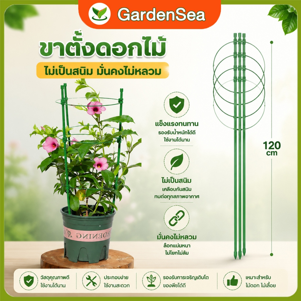 【COD】กรงพืช โครงเถาวัลย์ เสามะเขือเทศ 45/60/75/90/120ซม 3pcs ซุ้มไม้ โครงปลูก อุปกรณ์สำหรับพืชไม้เลื้อย ไม้เลื้อย 2