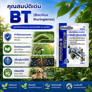 อูเมะไลฟ์ บาซิลัส ทูริงเยนซิส 100 กรัม จุลินทรีย์กำจัดหนอน ป้องกันแมลงกินใบ ป้องกันใบเหี่ยวจากเพลี้ย