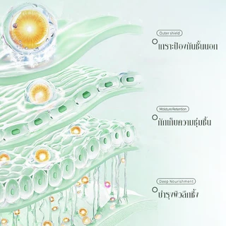 【Official】BODANA COCONUT OIL CREAM ครีมมะพร้าว 50g มอยส์เจอร์ไรเซอร์อเนกประสงค์ เติมความชุ่มชื้น