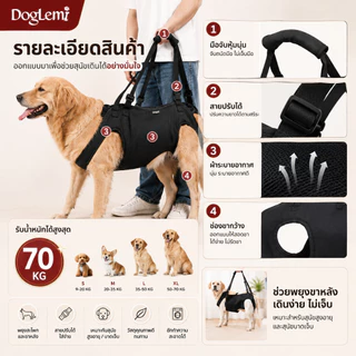 【Doglemi】สายรัดพยุงเดินสุนัข เสื้อกั๊กช่วยเดินสุนัขสูงอายุ สำหรับสุนัขบาดเจ็บข้อสะโพกขาหลัง
