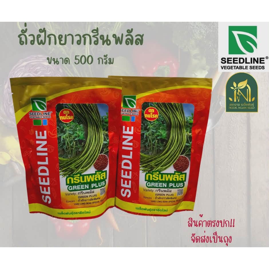 เมล็ดถั่วฝักยาวกรีนพลัส ขนาด 500 กรัม Seedline ยาว 55-60 ซม.