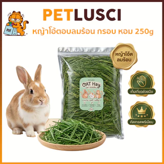 PETLUSCI หญ้าโอ้ตอบลมร้อน Oat Hay 250g คัดเกรดพรีเมี่ยม ใบเยอะ หอมเขียวนุ่มแสนอร่อยมีวิตามินเอสูง