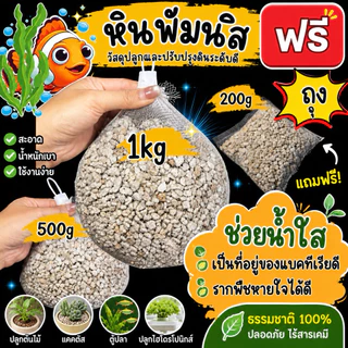 หินพัมนิส​ 🌳ฟรีถุง🐟หินรองพื้นตู้ปลา​ หรือใส่ดิน