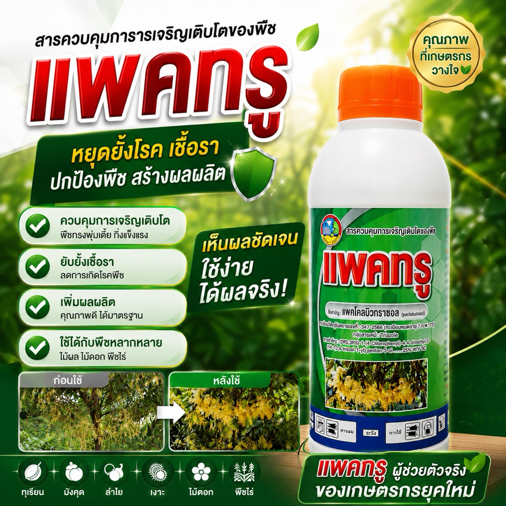 แพคทรู 1L สารแพคโคลบิวทราโซล 25% SC ราดมะม่วง-ทุเรียน สารควบคุมการเจริญเติบโตของพืช ใช้ทำไม้ผลนอกฤดู