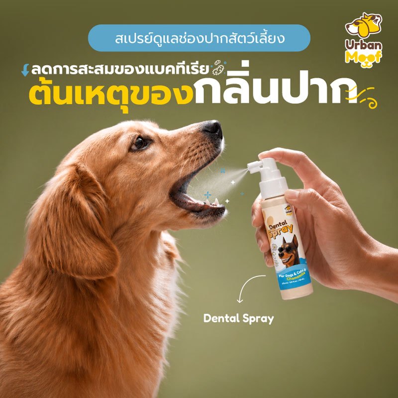 ผลิตภัณฑ์ดูแลช่องปากสัตว์เลี้ยง Dental Spray