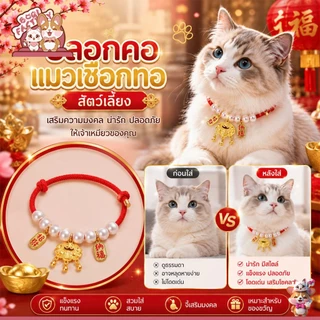 Boqi Factory ปลอกคอเชือกทอ สีแดง ปลอกคอ สุนัข แมว น่ารัก อุปกรณ์เสริม ปลอกคอนำโชค ด้ายแดง Catfucai