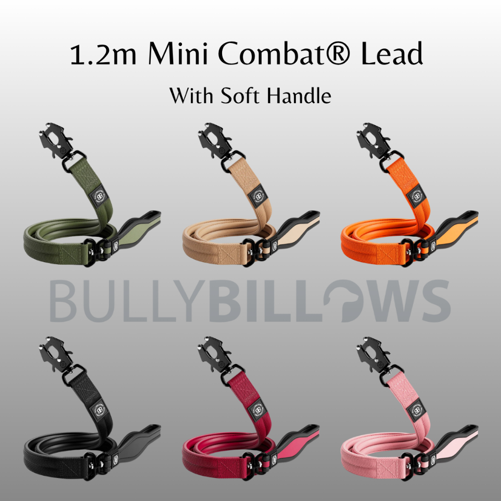 BullyBillows 1.2m Mini Combat® Leash - สายจูง รุ่นมินิ Combat ยาว 1.2 ม. สายจูงสุนัข