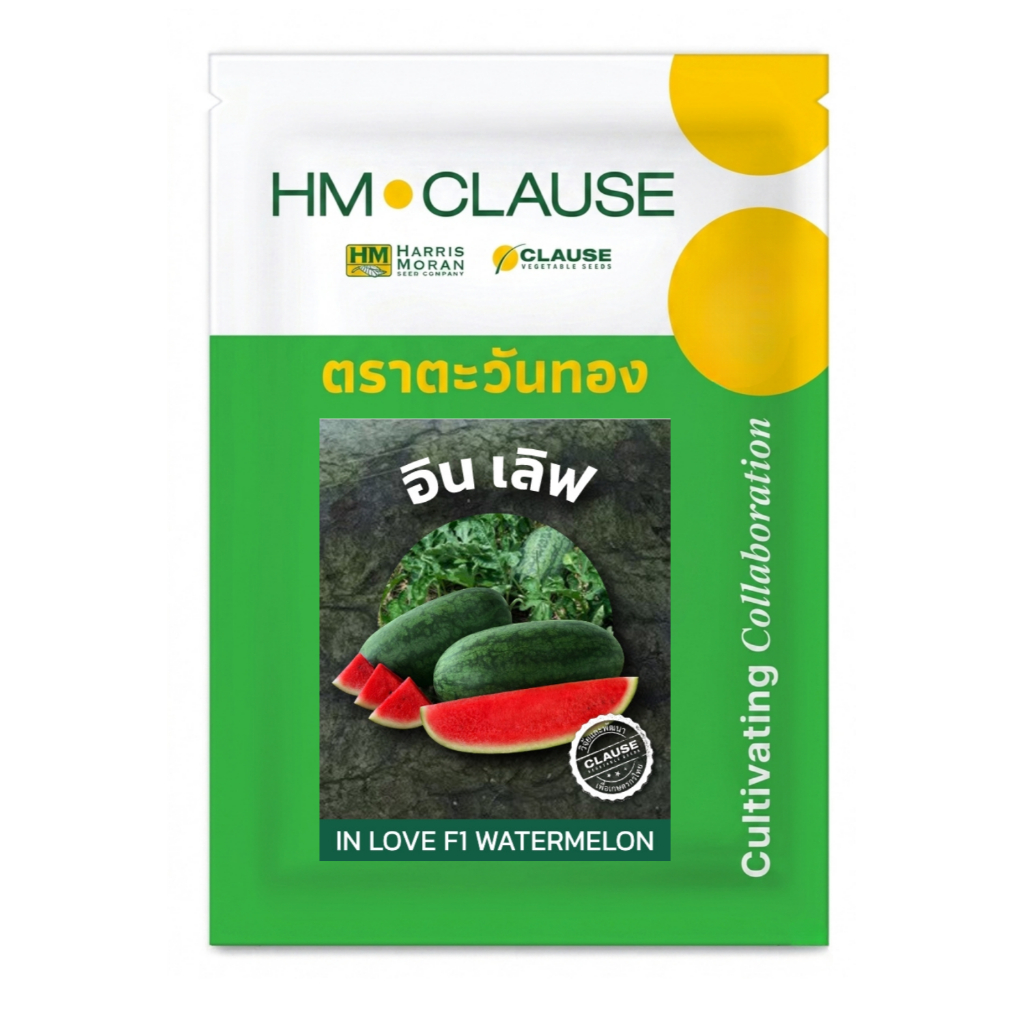 HM.CLAUSE ตราตะวันทอง แตงโม สายพันธุ์ลูกผสม อิน เลิฟ (WATERMELON In Love F1)