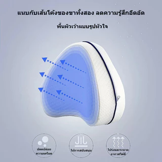 หมอนรองเข่า สำหรับผู้ที่ชอบนอนตะแคง บรรเทาอาการปวดหลัง สะโพก เข่า
