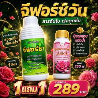 จีฟอร์ซวัน ยาจับใบ สูตรใหม่ น้ำยาสีเขียวอ่อน จับใบ เกาะติดใบ สารจับใบอย่างดี ยาจับใบ ขายดี