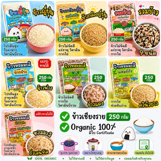 รวมข้าวออแกนิค 100% สำหรับเด็ก 6 เดือนขึ้นไป ข้าวจังหวัดเชียงราย