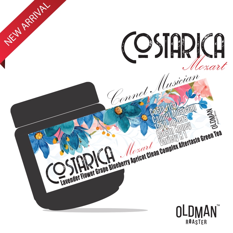 เมล็ดกาแฟ COSTARICA " MOZART " CANNET MUSICIAN (คั่วอ่อน) LIGHT ROAST by OLDMAN ROASTER
