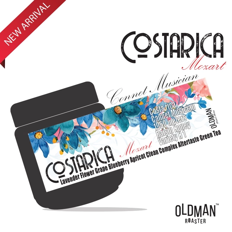 เมล็ดกาแฟ COSTARICA " MOZART " CANNET MUSICIAN (คั่วอ่อน) LIGHT ROAST by OLDMAN ROASTER