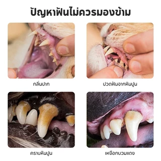 แปรงฟัน แปรงสีฟัน สำหรับสัตว์เลี้ยง แปรงสีฟันแมว ขนแปรงนิ่ม ขจัดคราบหินปูน ไม่บาดเหงือก การดูแลเหงือกและฟันอย่างอ่อนโยน