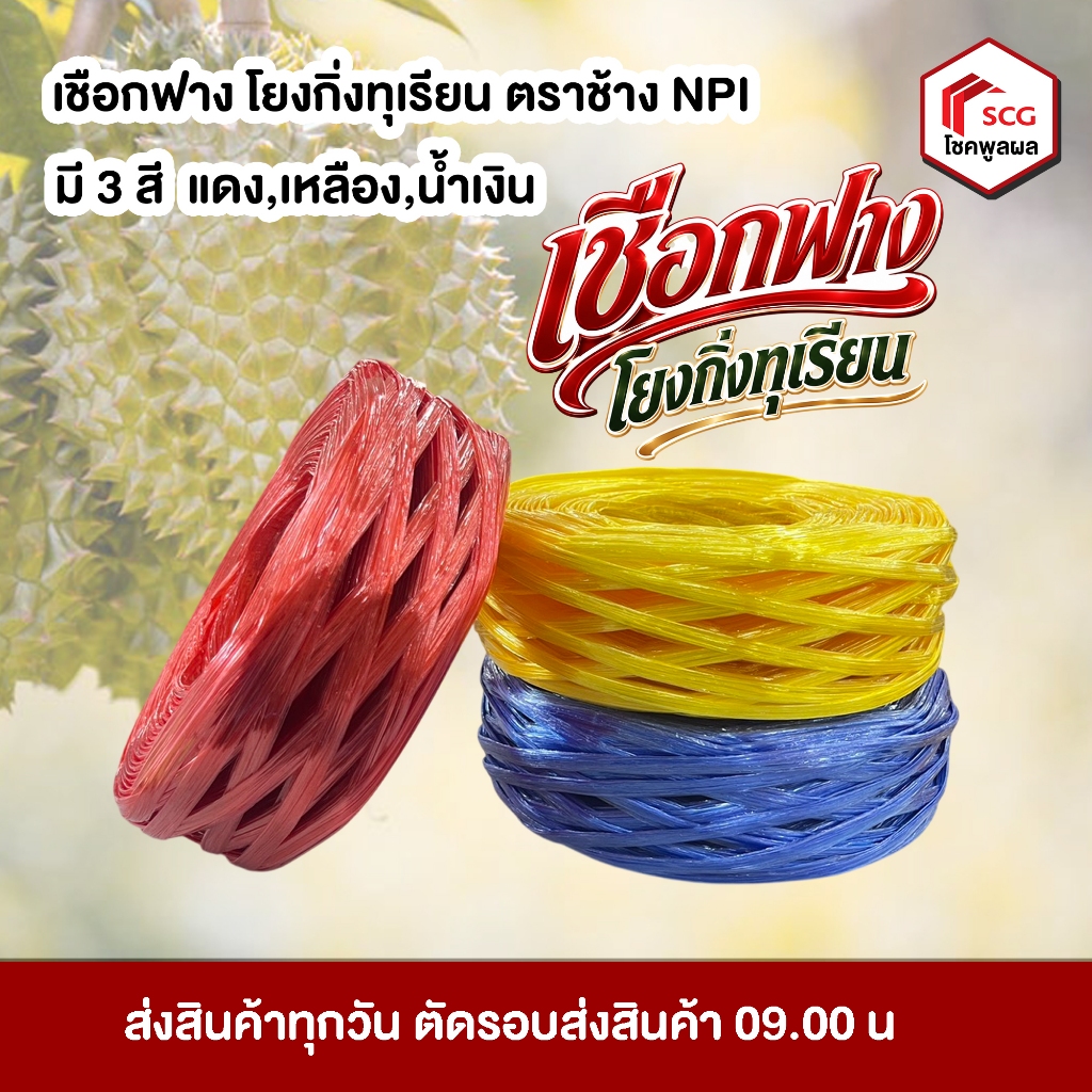 เชือกฟาง เชือกโยงกิ่งทุเรียน เชือกฟางโยงกิ่ง SCG มี 3 สี  แดง เหลือง น้ำเงิน  เชือกโยงทุเรียน