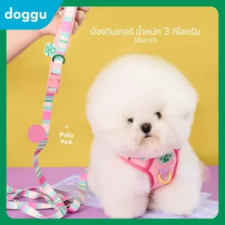 [พร้อมส่ง] DOGGU NEW Parco Mille Harness Set รุ่นใหม่ เซ็ตสายรัดอกพร้อมสายจูง น้องหมา แมวใส่ได้ ใส่ง่าย สายจูง 180 ซม.
