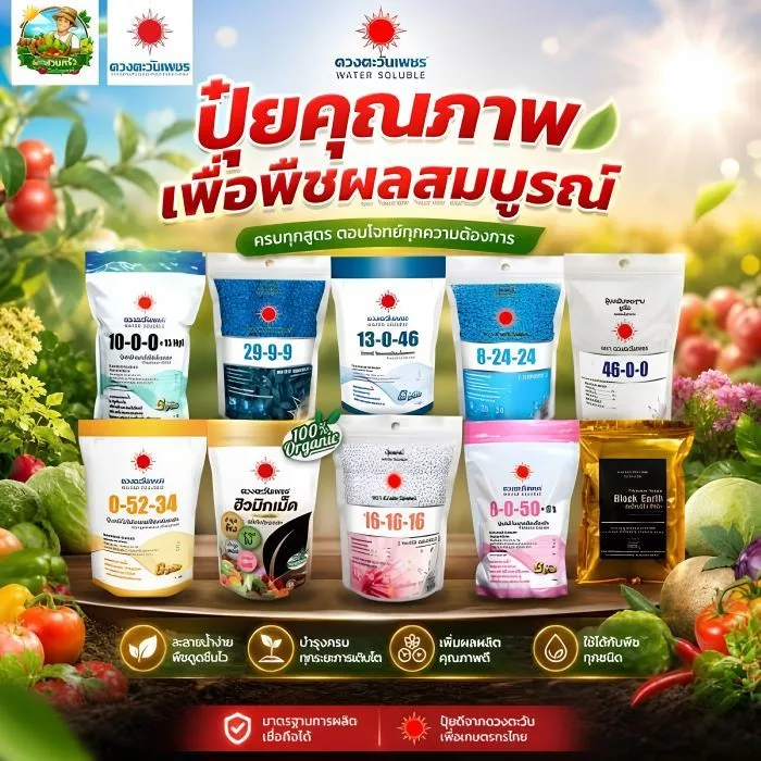 (ถุงแบรนด์ 1 kg) แม่ปุ๋ย ปุ๋ยเกล็ด ปุ๋ยไฮโดรโปนิกส์ ปุ๋ยระบบน้ำหยด(บ.ดวงตะวันเพชร)
