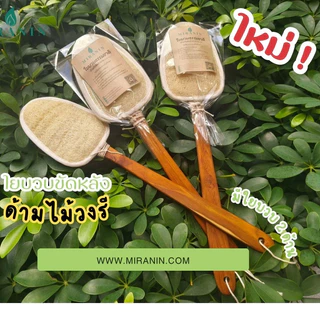 ใยบวบขัดหลัง ไม้ขัดหลัง วงรี 2 ด้าน ด้ามไม้แข็งแรง