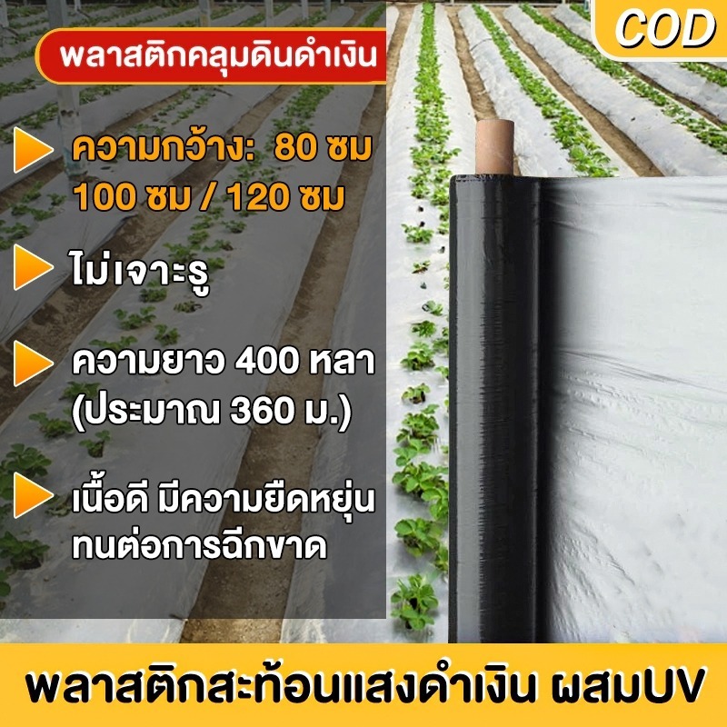 COD ผ้ายางคลุมดิน กันวัชพืช ขนาด 0.75/1.0/1.2 ม. ยาว 360 ม. เหมาะปลูกผัก คลุมแปลงปลูก