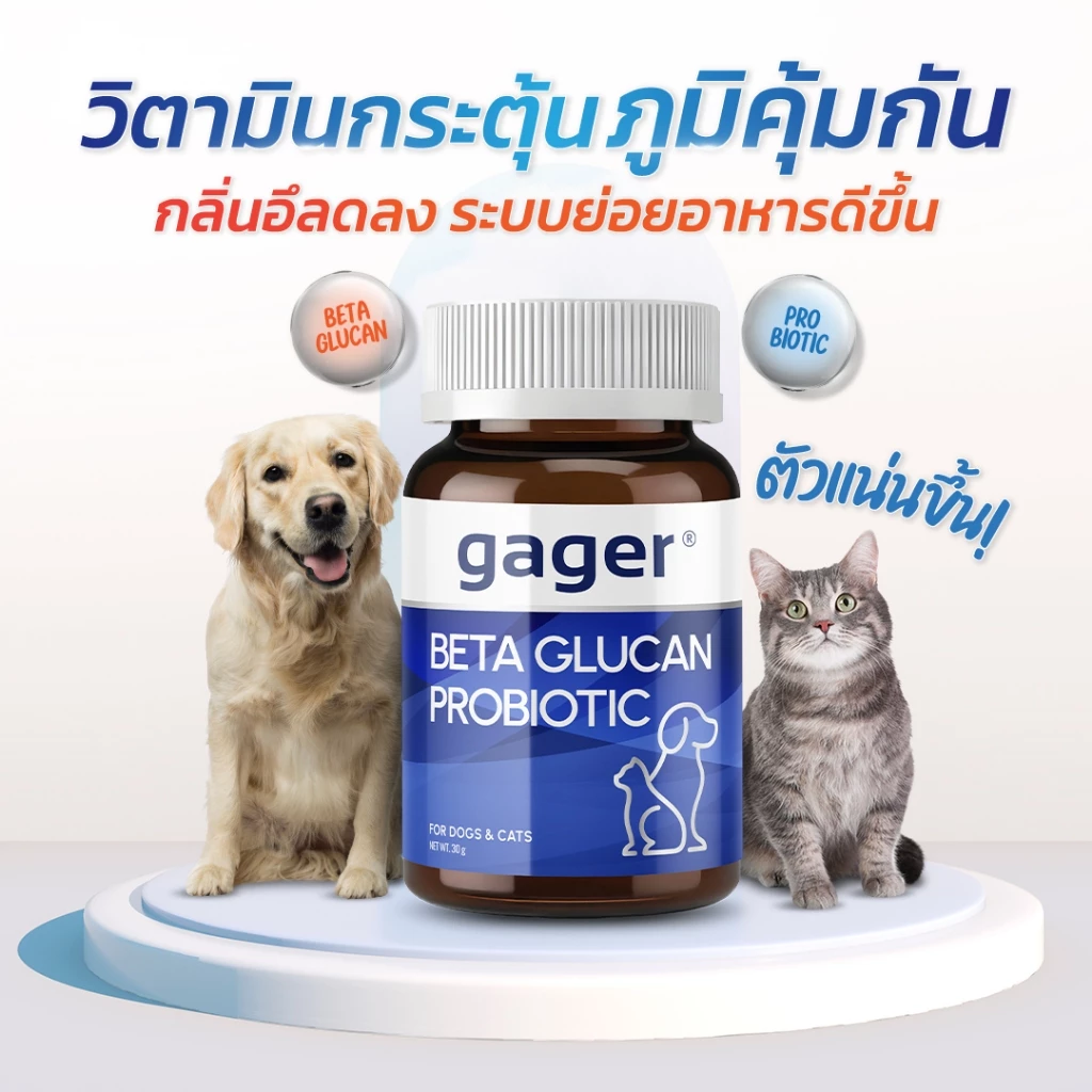 Gager (กาเจอร์) วิตามินหมา วิตามินแมว ผงเบต้ากลูแคน+โปรไบโอติค2in1 เสริมสร้างภูมิคุ้มกัน กลิ่นไก่ผสมตับ  (มีตัวเลือก) thumbnail 3
