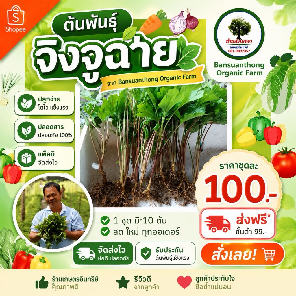ต้นพันธุ์ 🌳🌳จิงจูฉ่าย 100 บาทมี 10 ต้น