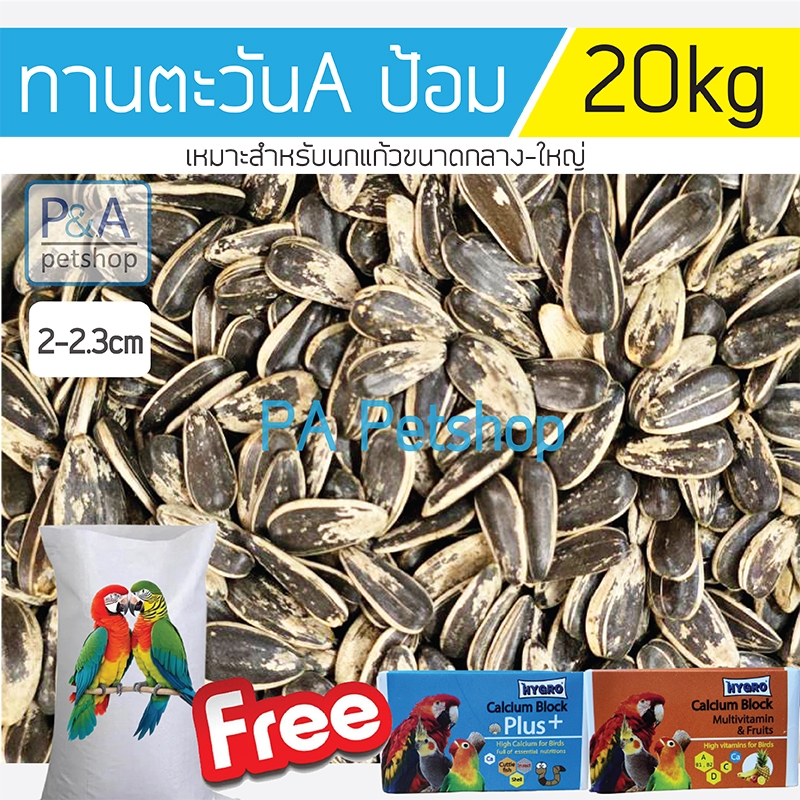 (ยกกระสอบ20kg) ทานตะวัน Aป้อม เม็ดใหญ่ เกรดA อาหารนกแก้ว และสัตว์ฟันแทะ [แถมฟรีHygro 2ก้อน].