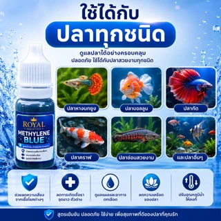 เมทิลีน บลู ปรับสภาพน้ำ ลดเชื้อราและแบคทีเรีย สำหรับปลาสวยงาม ใช้ได้กับปลาทุกชนิด