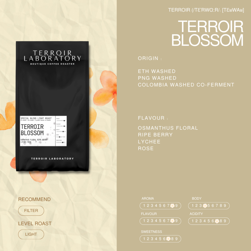 Terroir Blossom |  Filter Roast | กาแฟ Seasonal Release Blend 100g