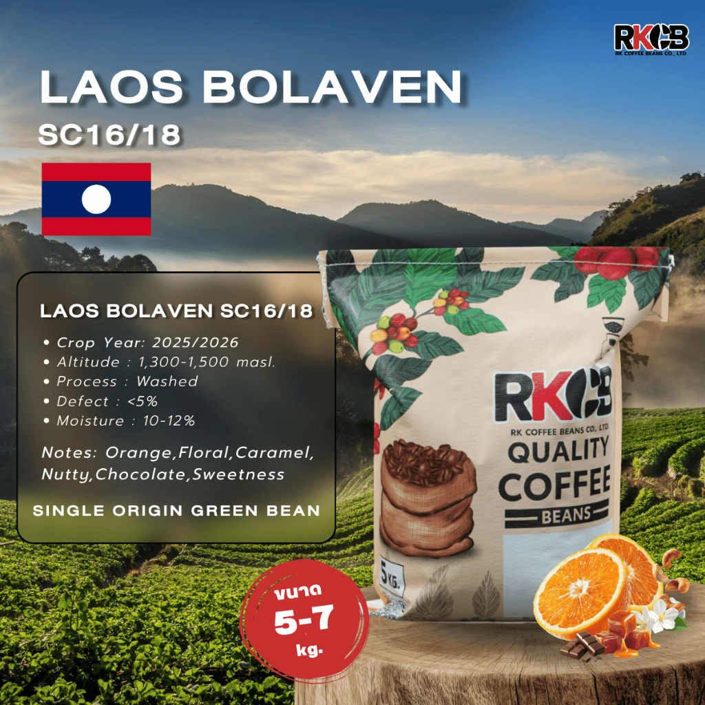 [พร้อมส่ง] สารกาแฟอราบิก้าลาว โบลาเวน Laos Bolaven SC16/18 บรรจุ 4 kg -7 kg. RK.Coffeebean.
