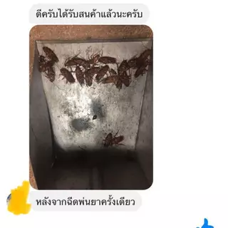 เครื่องพ่นยุง ฟรีน้ำยา 2 ขวด ครบชุดพร้อมใช้งาน เครื่องมีรับประกัน