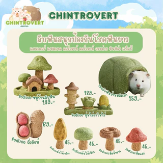 Chintrovert ✨| Dental Toy ลับฟันยักษ์ ตกแต่ง&ป้องกันโรคฟันยาว บำรุงฟันในสัตว์ฟันแทะ | สำหรับสัตว์ฟันแทะทุกชนิด